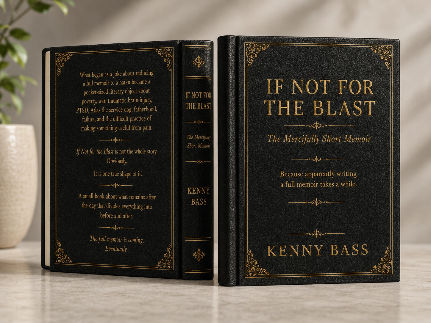 Concept cover mockup for the in-development memoir If Not for the Blast.