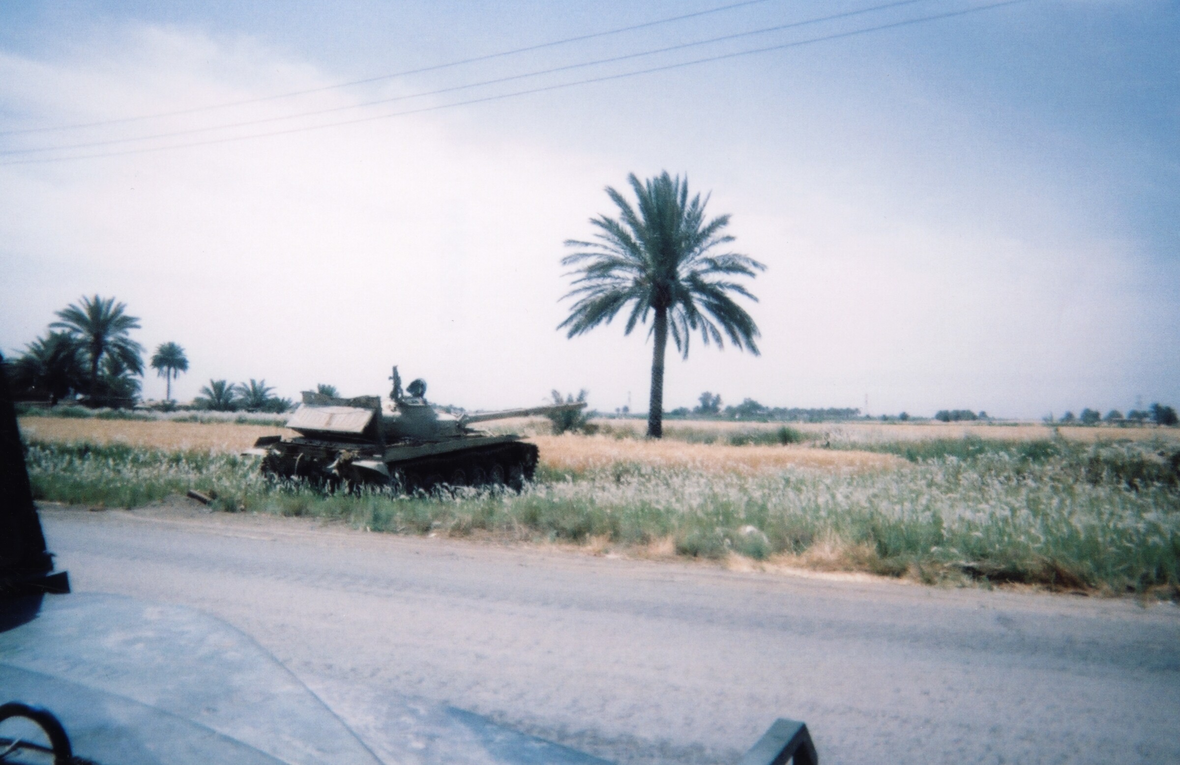 Tank and Palm: an armored vehicle on a road beside a palm tree in Iraq.